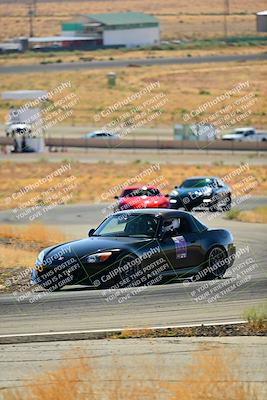 media/Oct-05-2024-Extreme Speed (Sat) [[dcd4a721fe]]/Low Inter/Session 2 (Turns 4 5 and 6)/